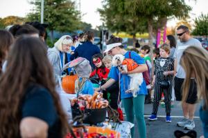 Trunk - or- Treat Application