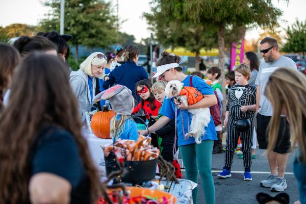 Trunk - or- Treat Application Trunk - or- Treat Application