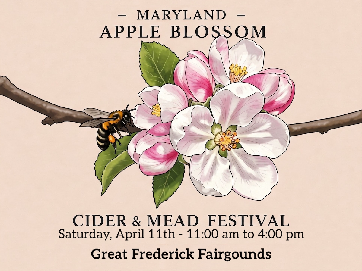 Apple Blossom  Cider Festival