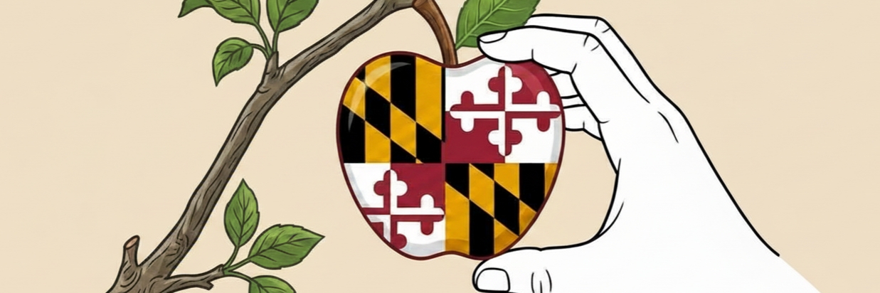 Apple Harvest  Cider Festival