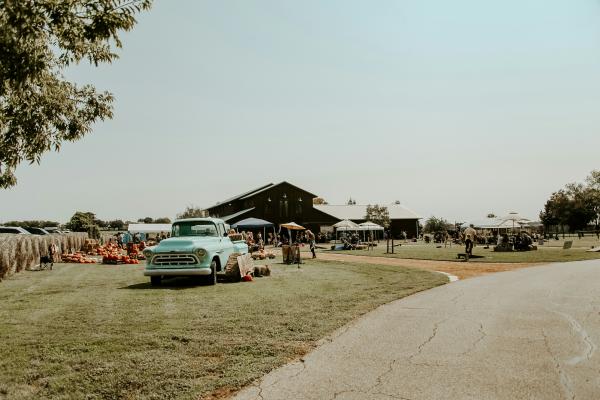 Harvest Festival *TEST*