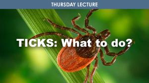 Ticks! What to do cover picture