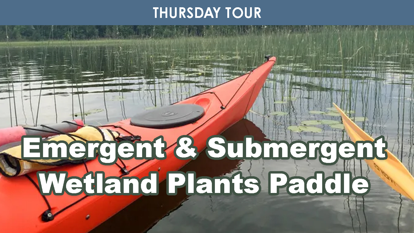 Emergent & Submergent Wetland Plants cover picture