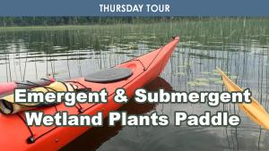 Emergent & Submergent Wetland Plants cover picture