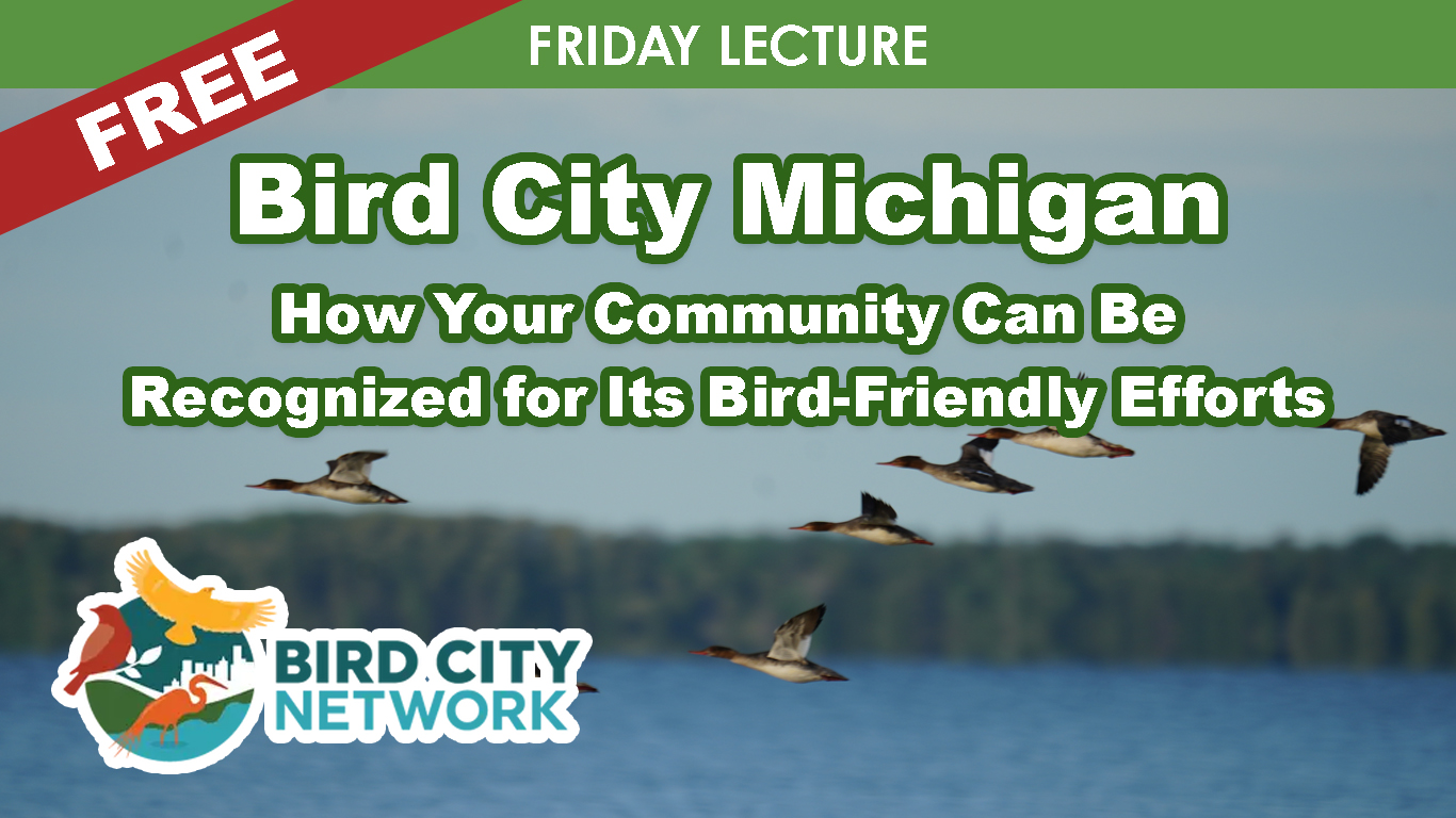 Bird City Michigan: How Your Community Can Be Recognized for Its Bird-Friendly Efforts cover picture