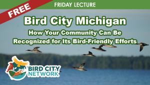 Bird City Michigan: How Your Community Can Be Recognized for Its Bird-Friendly Efforts cover picture