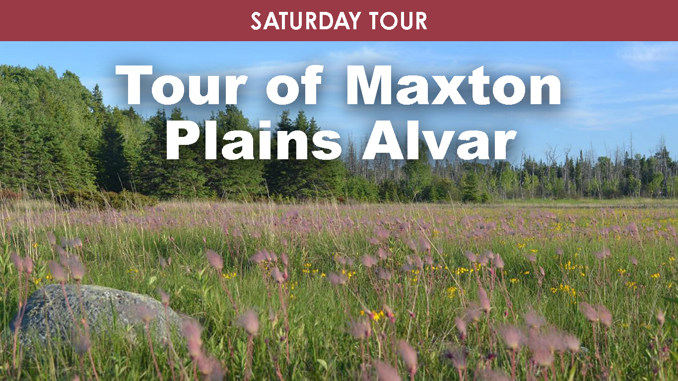 Tour of Maxton Plains Alvar cover picture