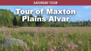 Tour of Maxton Plains Alvar cover picture