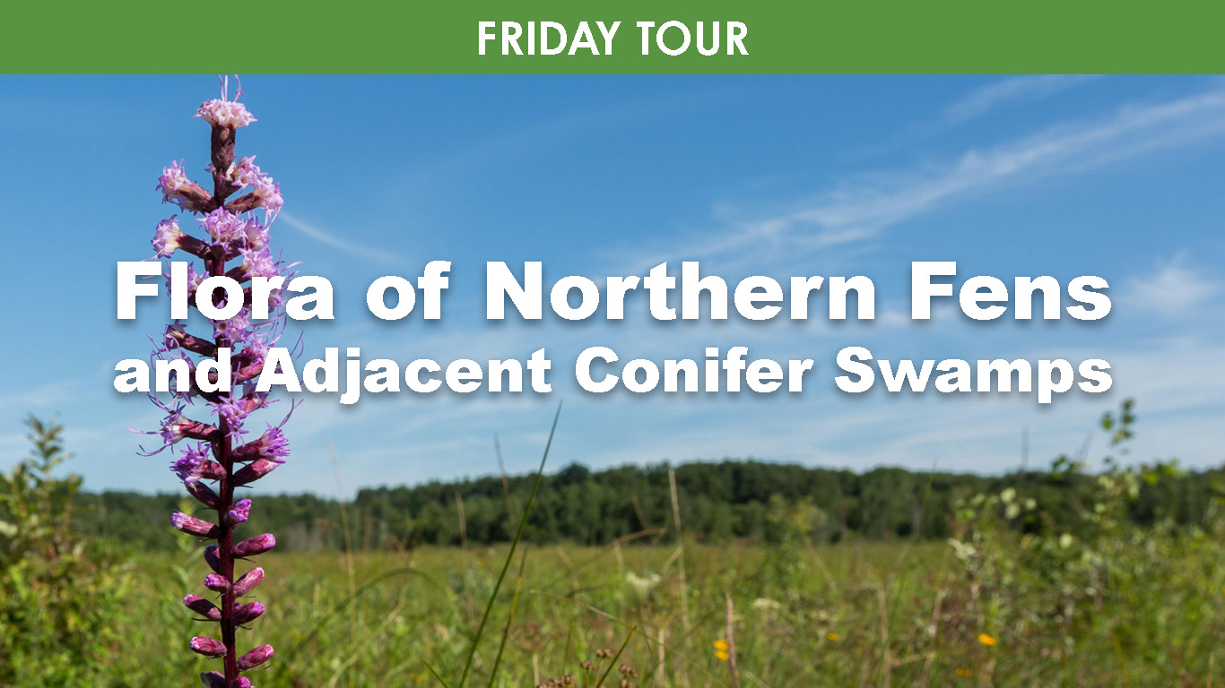 Flora of Northern Fens and Adjacent Swamps cover picture