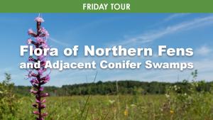 Flora of Northern Fens and Adjacent Swamps cover picture