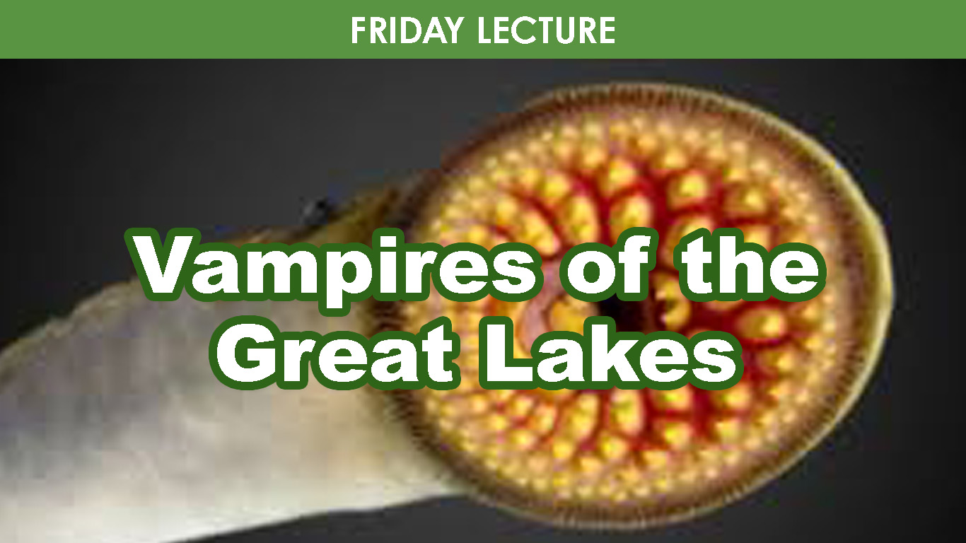 Vamipres of the Great Lakes cover picture