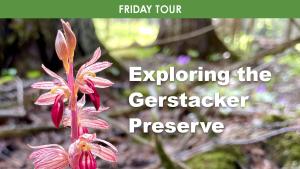 Exploring the Gerstacker Preserve cover picture