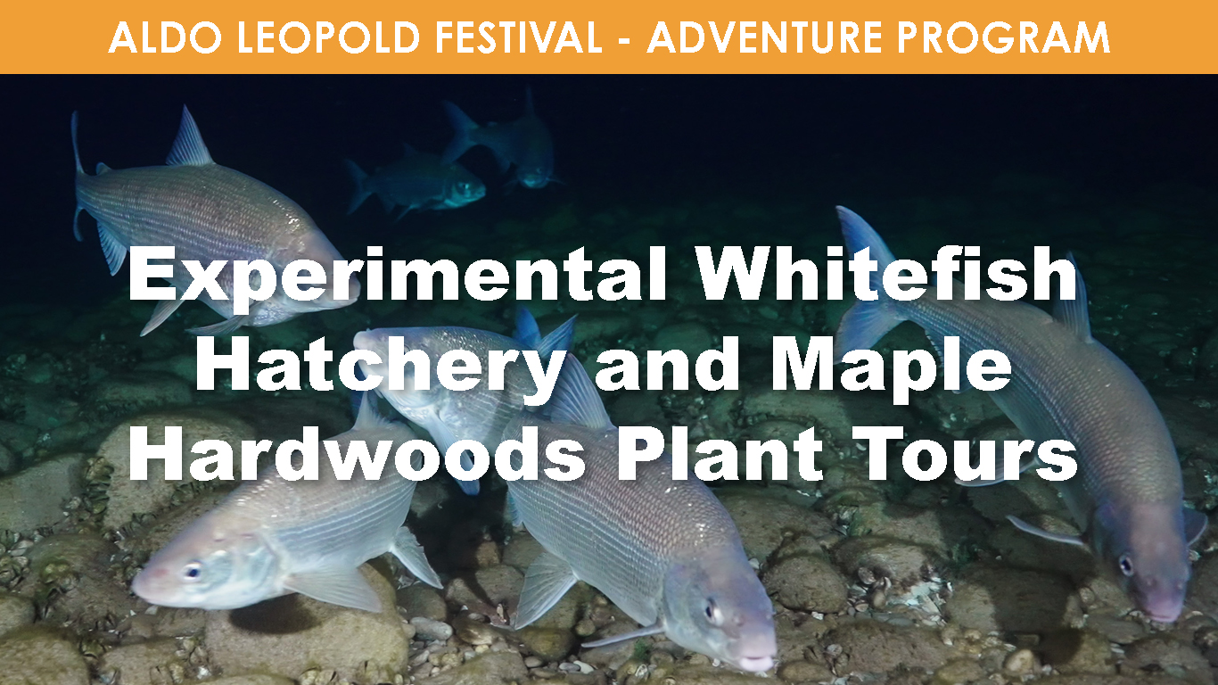 Experimental Whitefish Hatchery & Maple Hardwoods Plant Tour cover picture