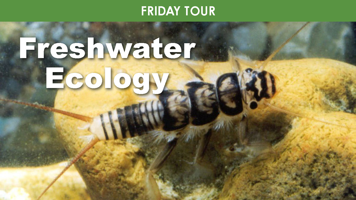Freshwater Ecology cover picture