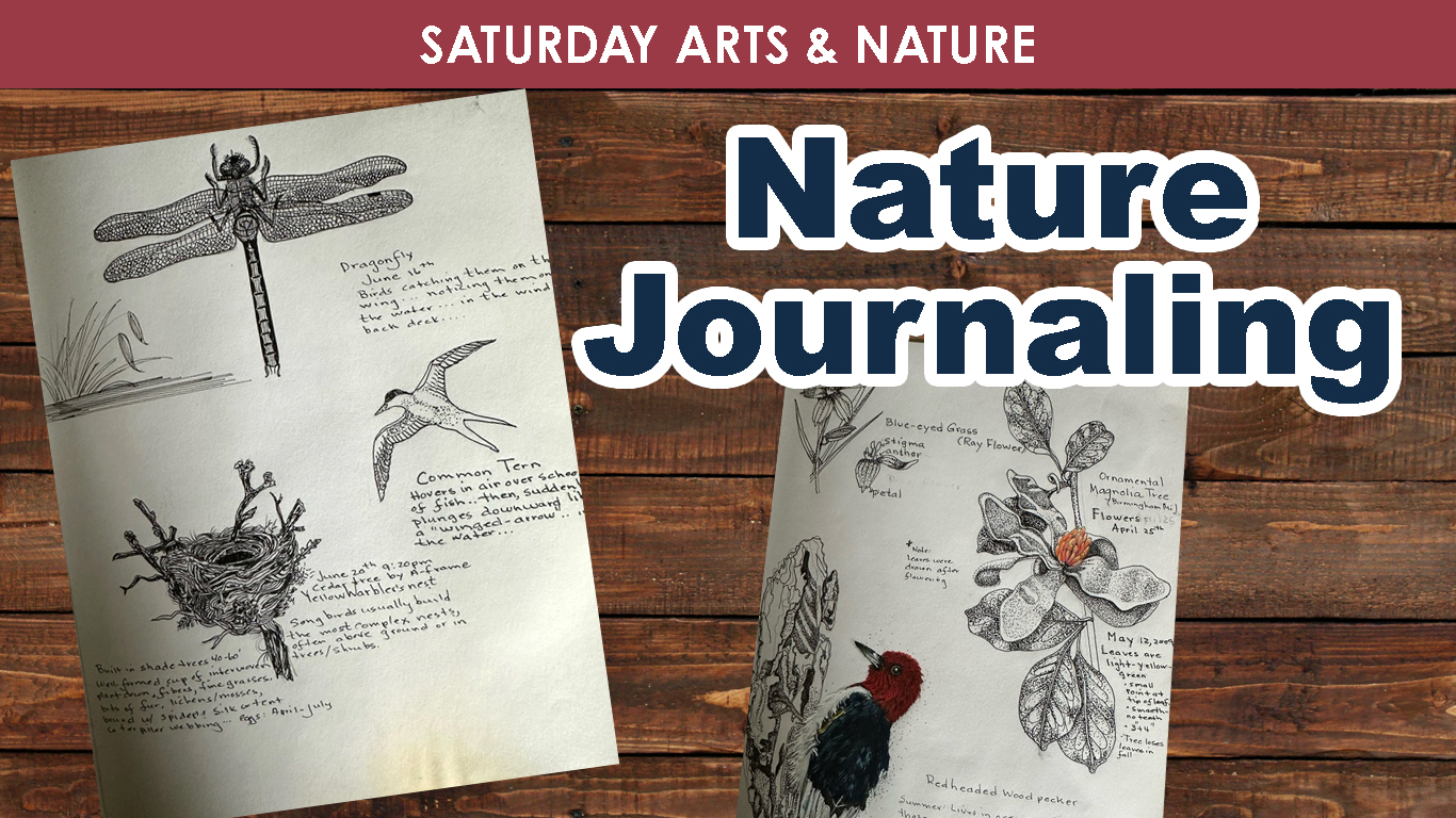 Nature Journaling (Saturday) cover picture