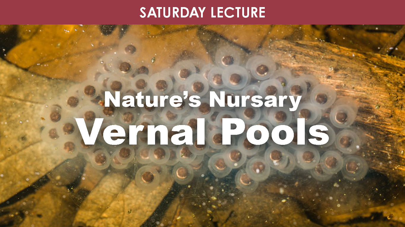 Vernal Pools cover picture