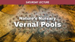 Vernal Pools cover picture