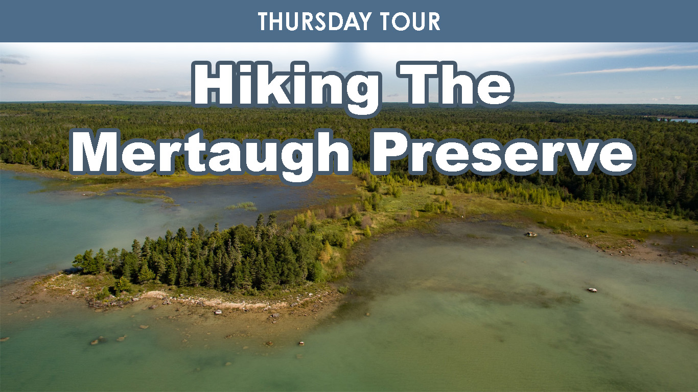 Hiking the Mertaugh Preserve cover picture
