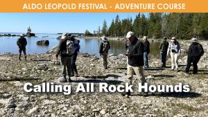 Calling All Rock Hounds cover picture