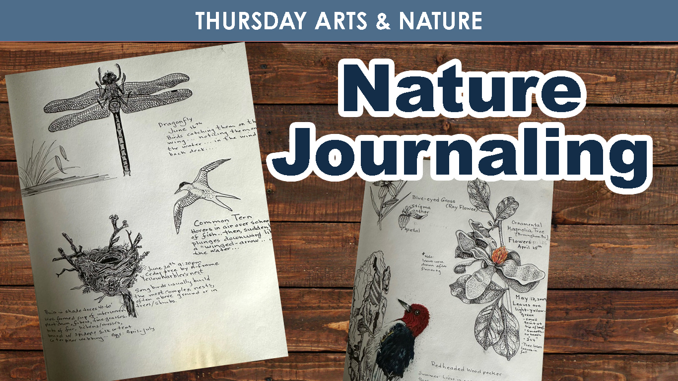 Nature Journaling cover picture