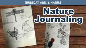 Nature Journaling cover picture