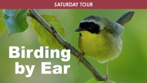 Birding By Ear (Saturday) cover picture