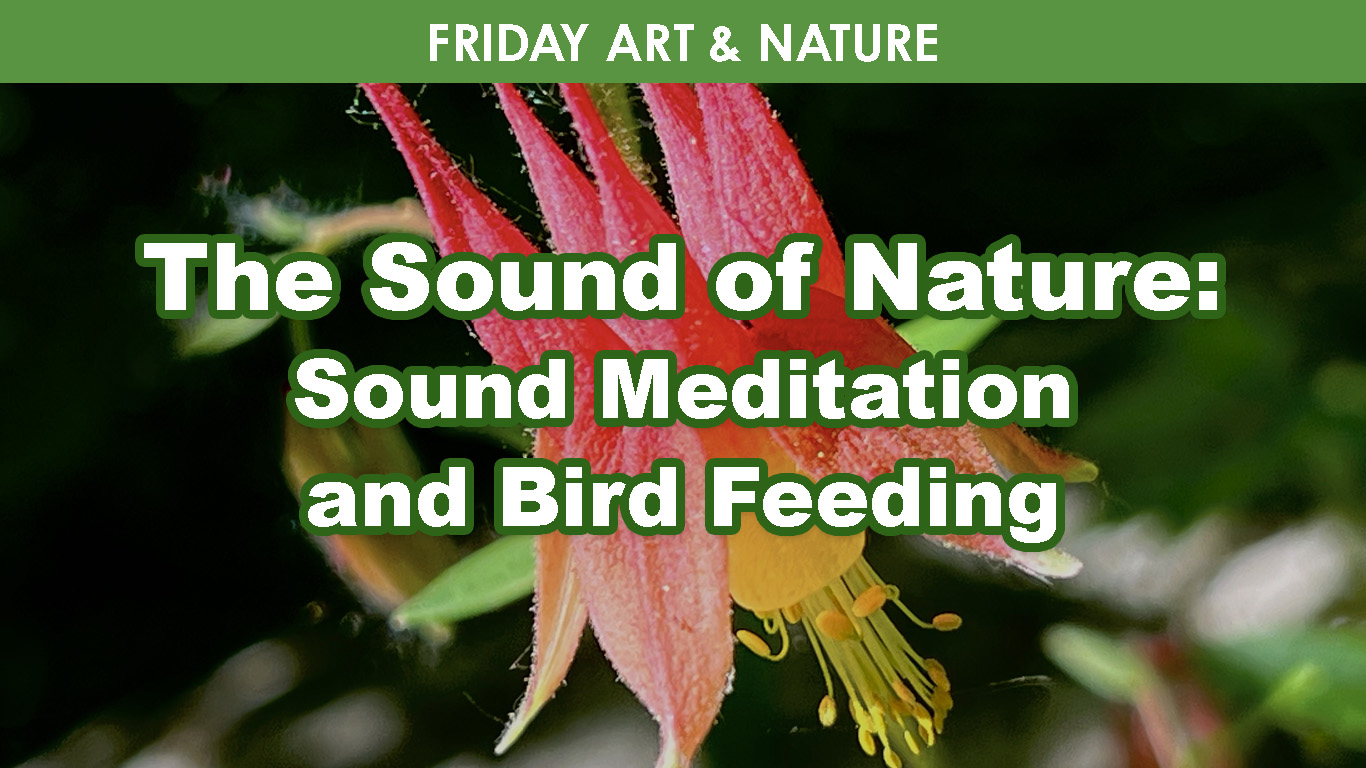 Sounds of Nature cover picture