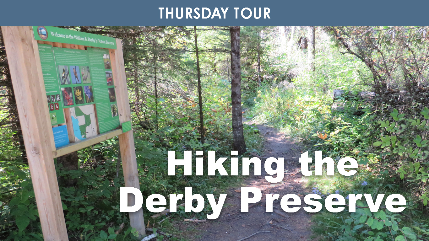 Hiking the Derby Preserve cover picture