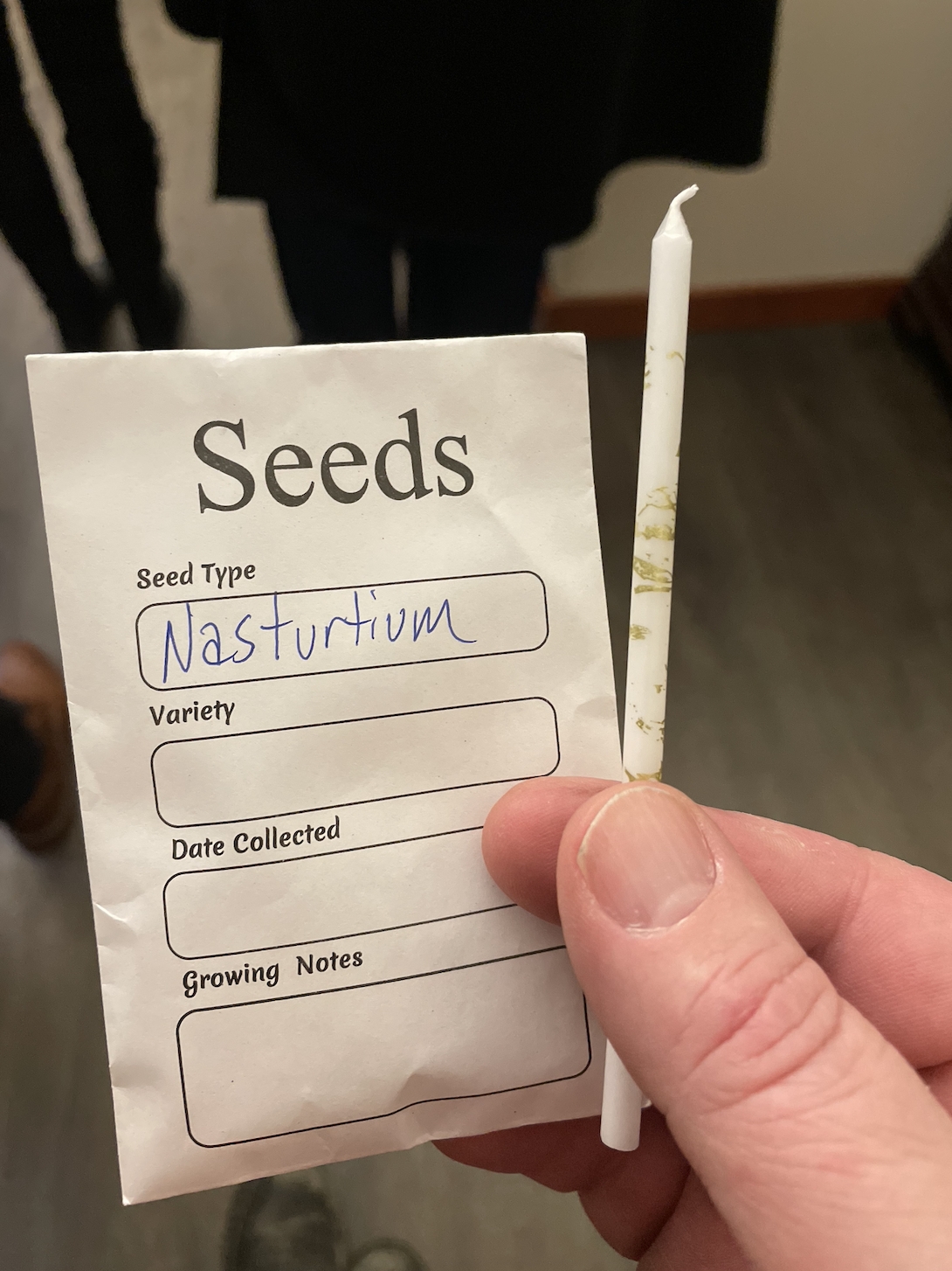 Seeds for Spring