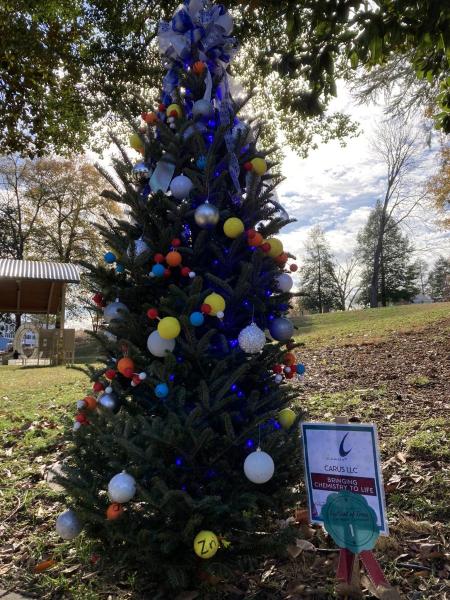 For-Profit Organizations For-Profit Organizations