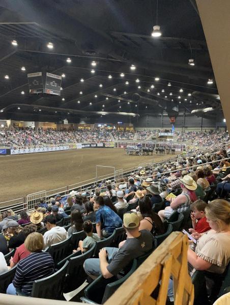 2026 DCFR Rodeo Vendor Application