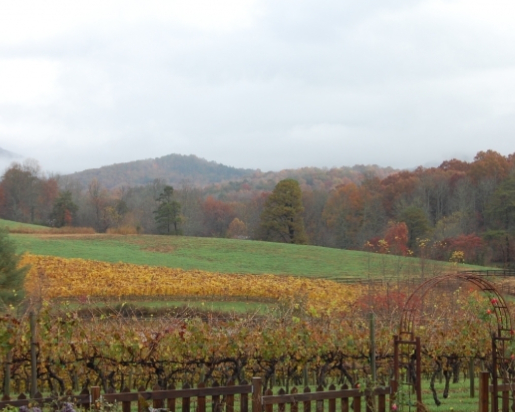 Crane Creek Vineyards Annual Harvest Festival