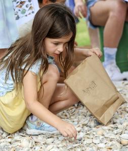 SHELL HUNT