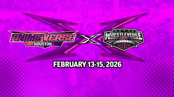 AnimeVerse Fest: Houston Volunteer Application