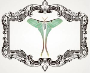 Moth Pinning Class Ticket cover picture
