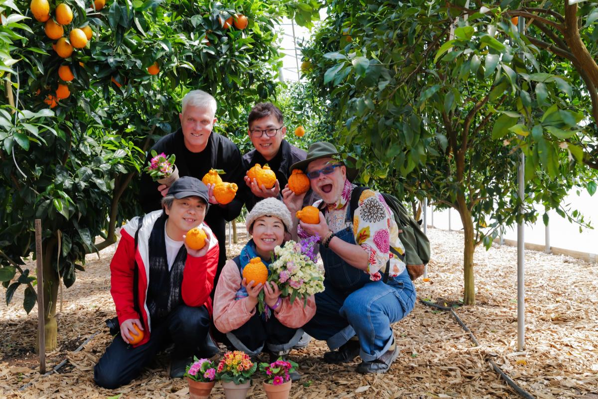 Five smiling people pose in a greenhouse citrus grove holding Dekopon oranges and potted primrose flowers, with potted primrose in the foreground.