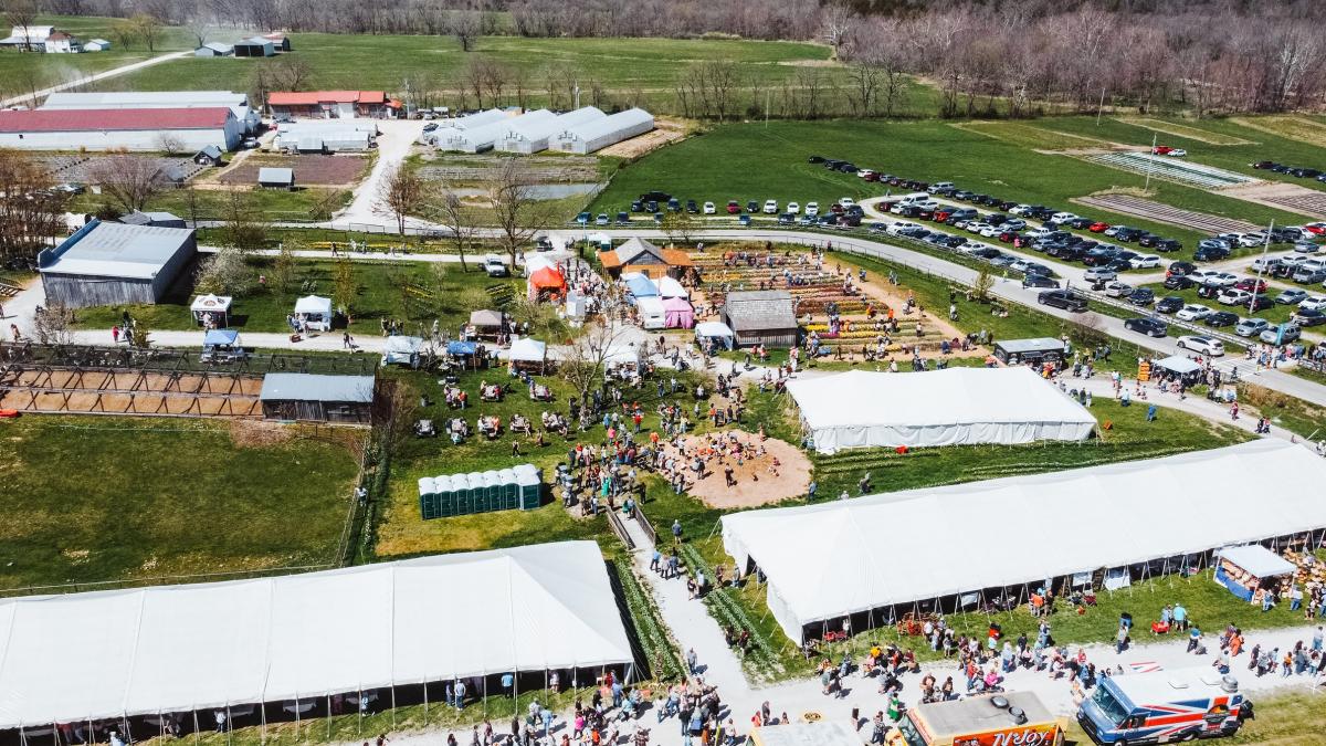 Aerial view of the Baker Creek spring festival with large white tents, vendor booths, tulip beds, and crowds of visitors.