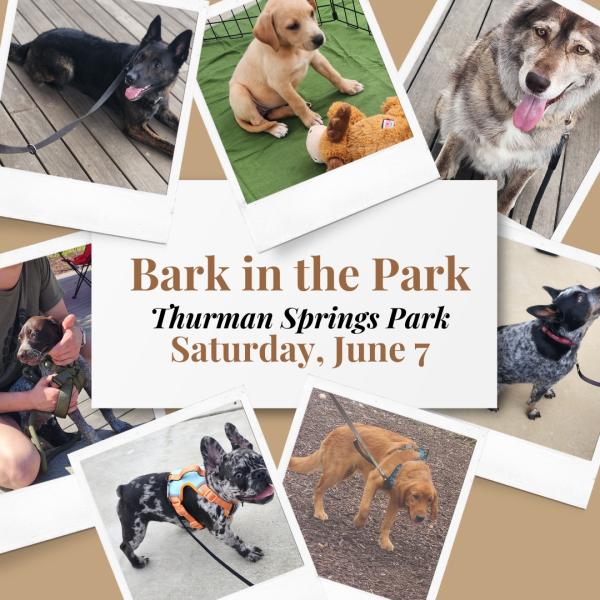 Bark in the Park Bark in the Park