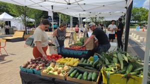 Vendor Application [DROP-IN WAITLIST]