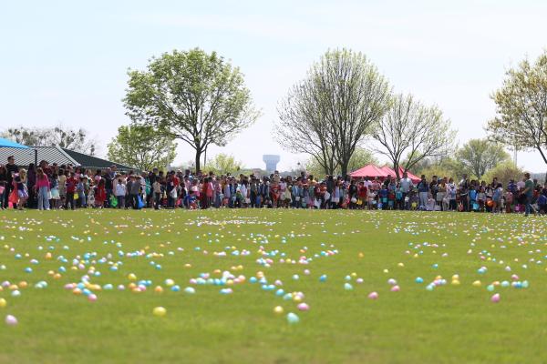 Roanoke's Eggapalooza Vendor Application