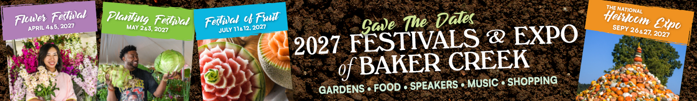 The Flower Festival 2027
