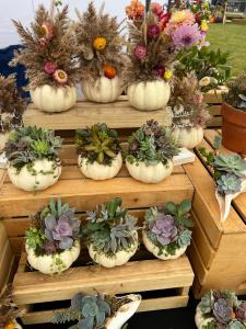 Sponsor- 2025 Rocky River Fall Avant-Garde Art & Craft Show Sponsorship Application