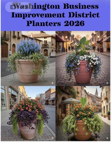 Flower Pots/Planters 2026