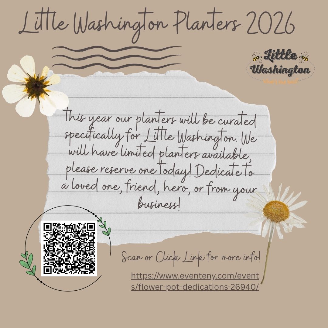 Flower Pots/Planters 2026