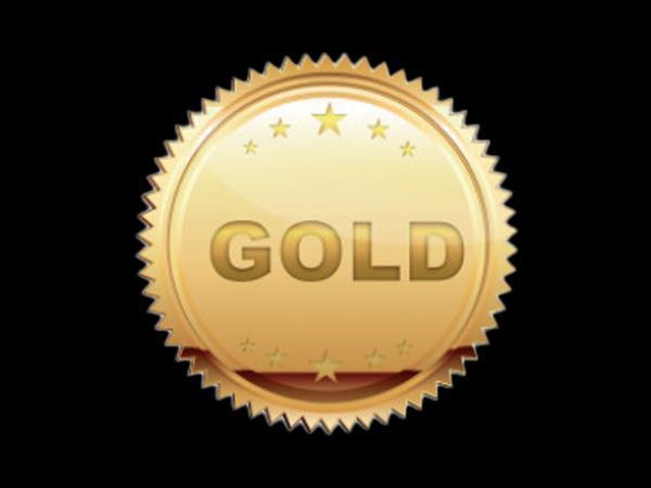 GOLD SPONSOR GOLD SPONSOR