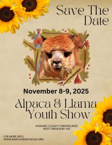 Alpaca and Llama Open Youth Performance Show