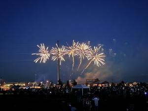 2026 4th of July - Banning Lewis Ranch Application