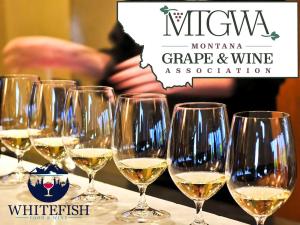 Beverage Exhibitor (MTGWA)