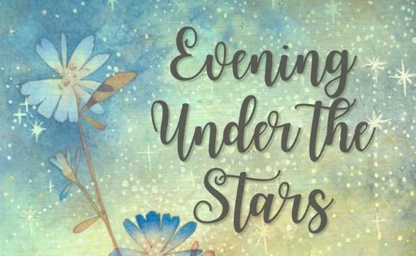 2024 Evening Under the Stars cover image