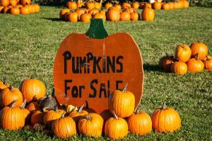 PUMPKIN PATCH BOOTH